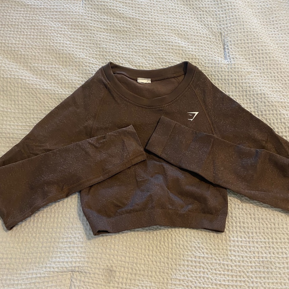 Adapt fleck seamless long sleeve crop top